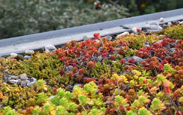 the cost of Buttercrambe green roof installation
