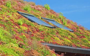 Buttercrambe living roof systems