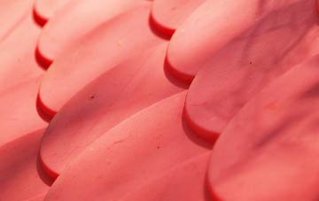 Buttercrambe plastic roof costs