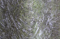 Buttercrambe fibreglass roof work